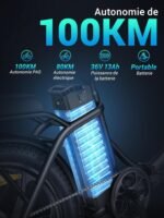 MilePort 1 Electric Bicycle for Adults, 250 W Folding Electric Bicycle with 36 V 13 Ah Removable Battery, Speed 25 km/h and Range 100 Km, 20 x 3.0 Inch Fat Tyres E-Bikes for City Commuters